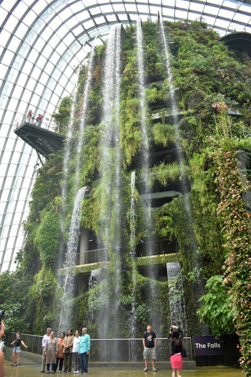 Cloud Forest - the waterfall