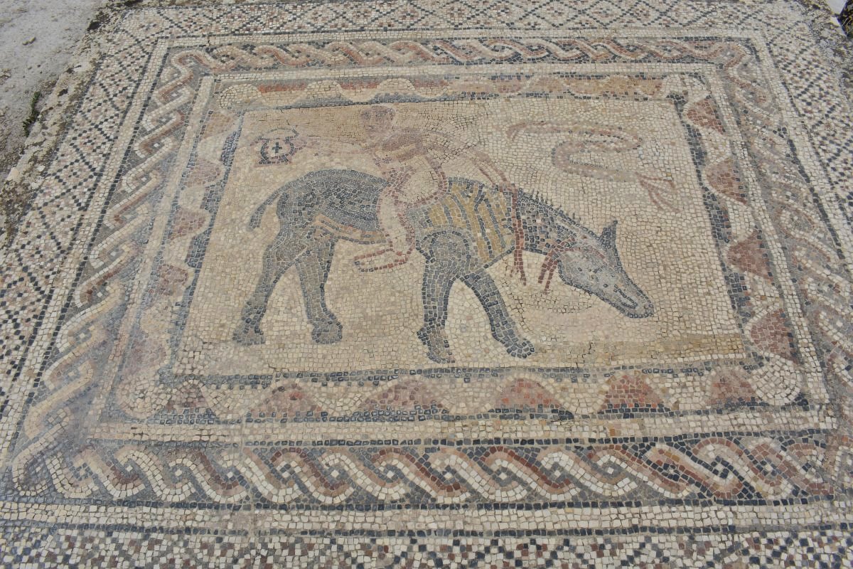 mosaic from the House of the acrobat