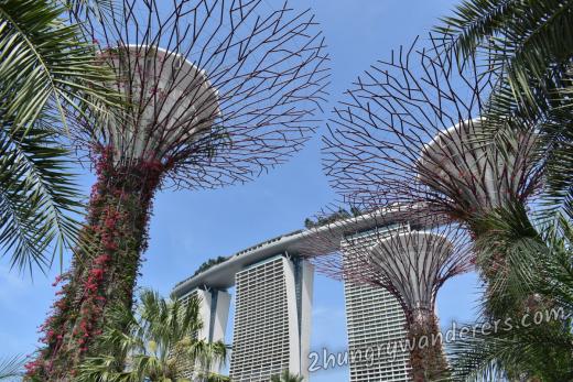 Gardens By The Bay - see them night and day