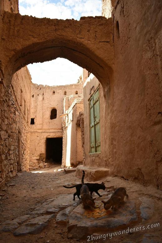 Somebody feeds the stray cats at Al Hamra